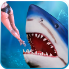 Shark Simulator 2019