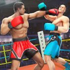 Shoot Boxing World Tournament 2019: Панч бокс