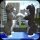 Cute Cat And Puppy World