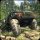 Водитель грузовика 3D: Offroad