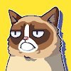 Сердитый Котик: ужасная игра