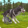 Cute Cat And Puppy World