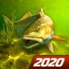 My Fishing World